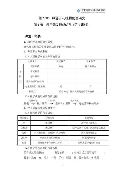 北师版生物七年级上册第6章第1节《种子萌发形成幼苗》课堂精练(第1课时)