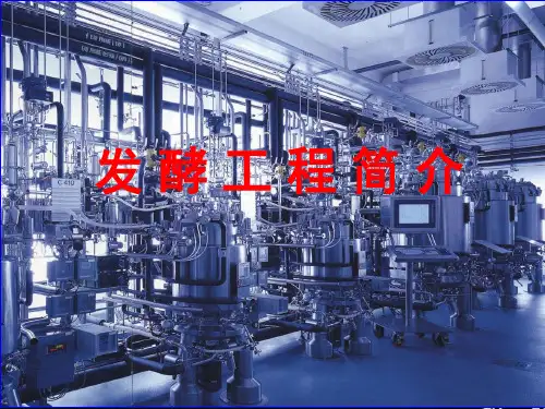 发酵工程