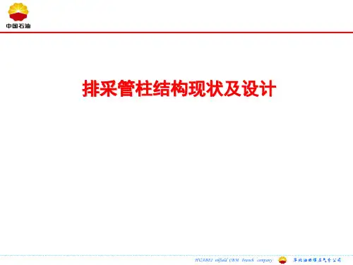 管柱结构设计讲义