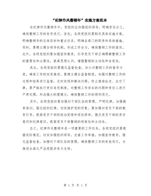 “纪律作风整顿年”实施方案范本