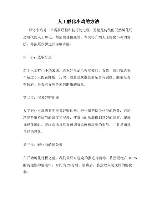 人工孵化小鸡的方法