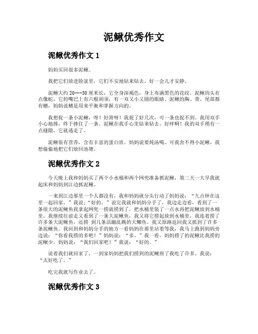 泥鳅优秀作文