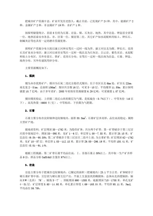 肥城市矿产资源丰富