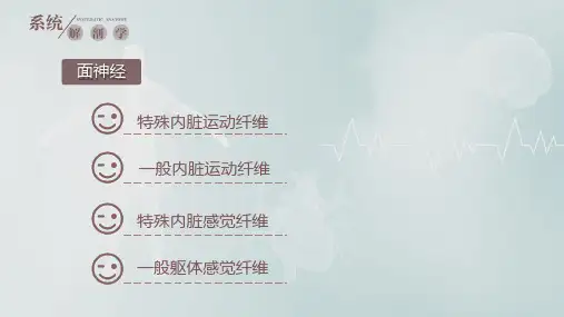 8.7.1面神经系统解剖学