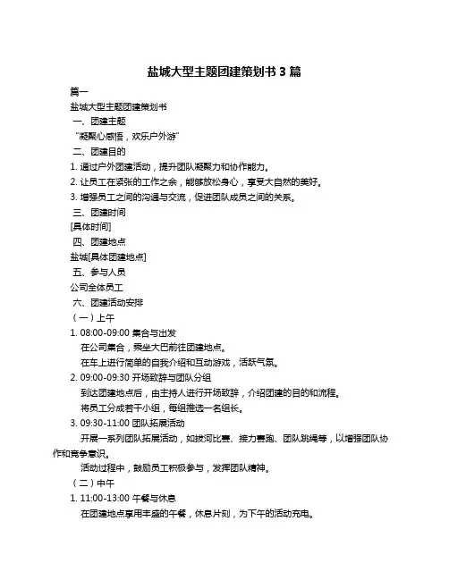 盐城大型主题团建策划书3篇