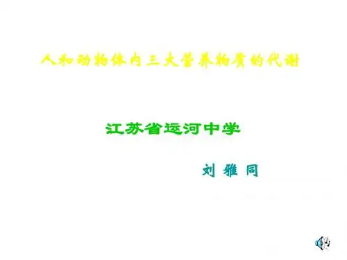 人和动物体内三大营养物质的代谢