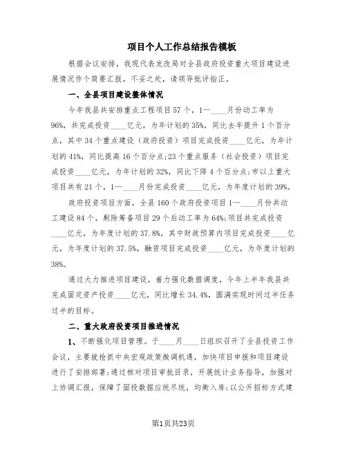 项目个人工作总结报告模板(10篇)