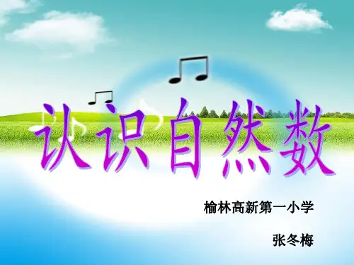 认识自然数、奇数和偶数
