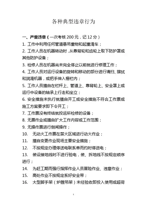 发电厂各种典型违章行为