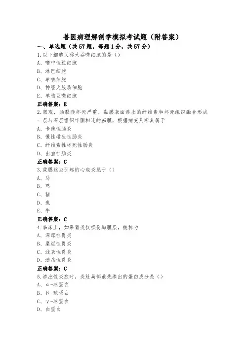 兽医病理解剖学模拟考试题(附答案)