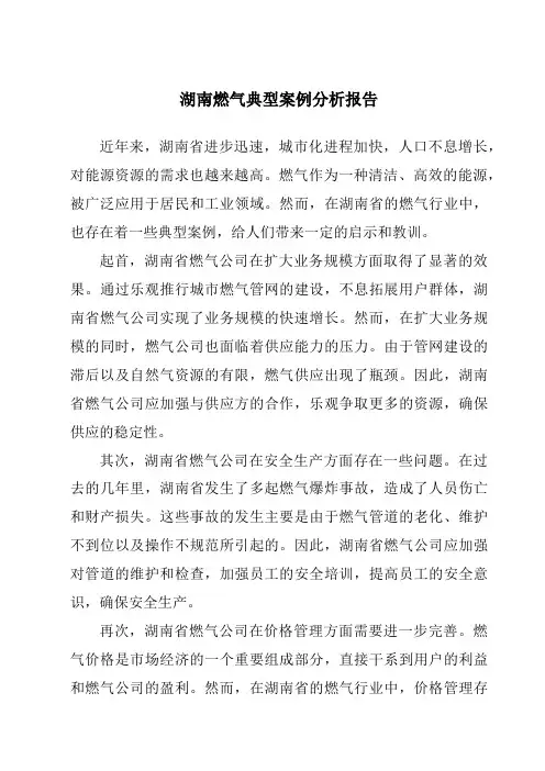 湖南燃气典型案例分析报告