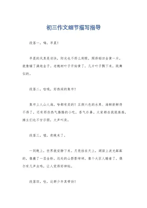 初三作文细节描写指导