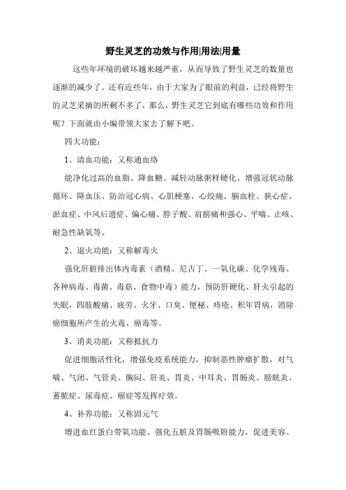 野生灵芝的功效与作用-用法-用量
