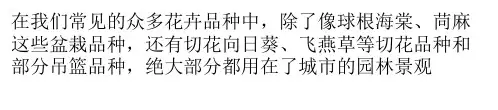 常见花坛分类与应用