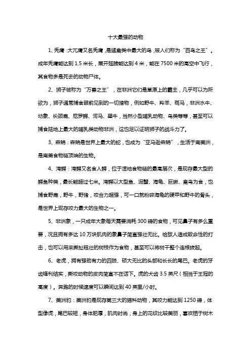 十大最强的动物