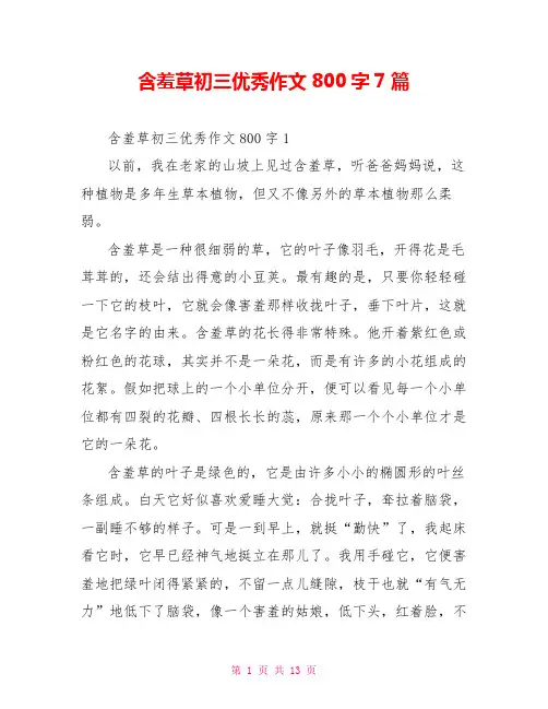 含羞草初三优秀作文800字7篇