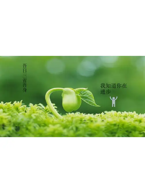 商业物业手册)