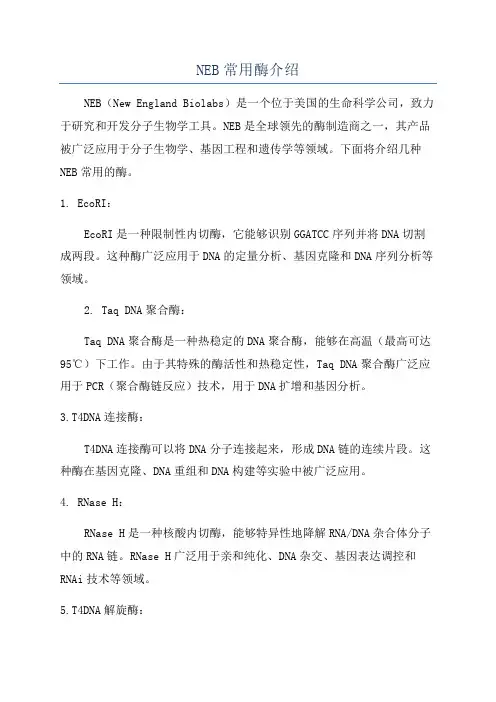 NEB常用酶介绍