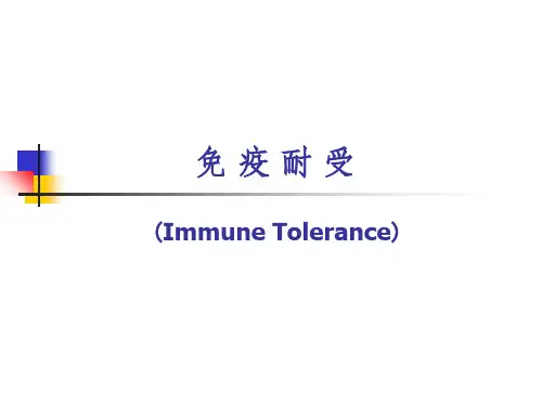 免疫耐受与免疫调节PPT课件