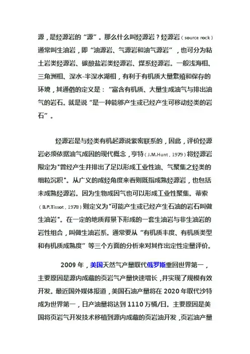 源岩油气