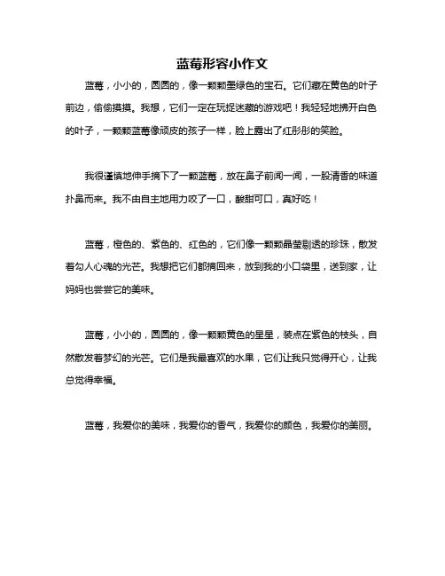蓝莓形容小作文
