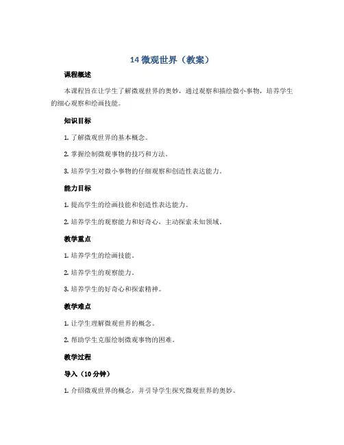 14微观世界(教案)2022-2023学年美术五年级下册
