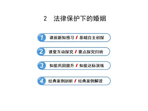 法律保护下的婚姻课件