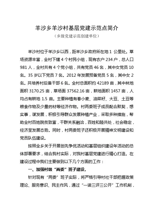 羊沙乡羊沙村基层党建示范点简介