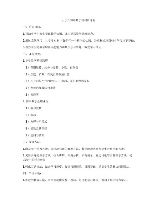 小学升初中数学培训班计划