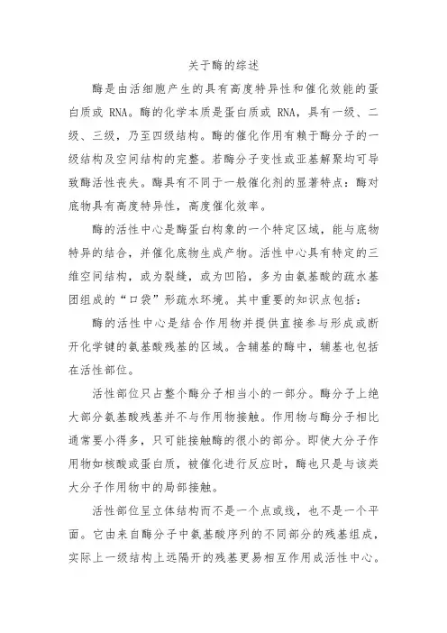 关于酶的综述