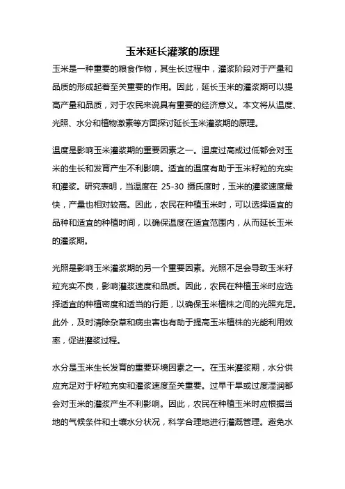 玉米延长灌浆的原理