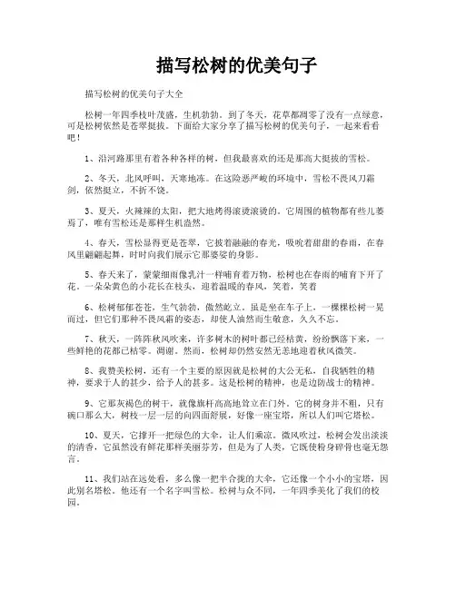 描写松树的优美句子