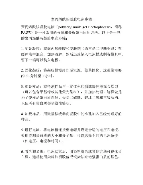 聚丙烯酰胺凝胶电泳步骤