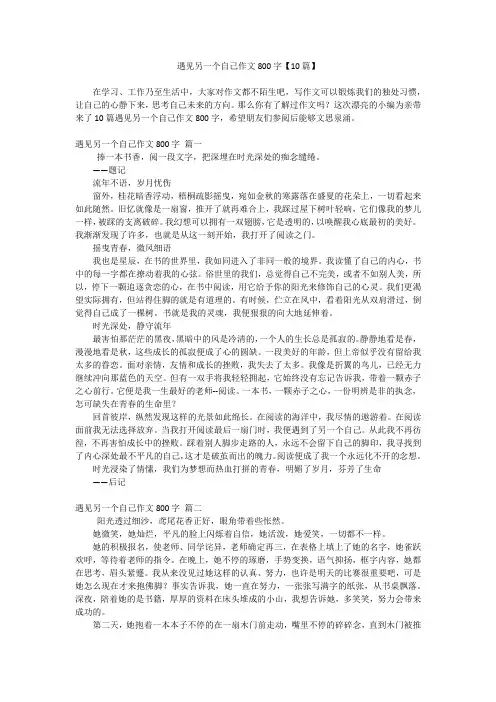 遇见另一个自己作文800字【10篇】