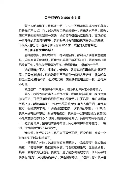 关于影子作文800字5篇