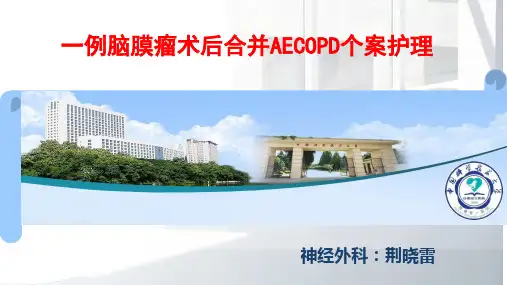 AECOPD个案护理最近版