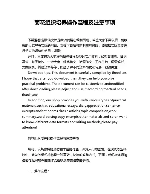 菊花组织培养操作流程及注意事项