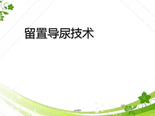 留置导尿技术操作  ppt课件