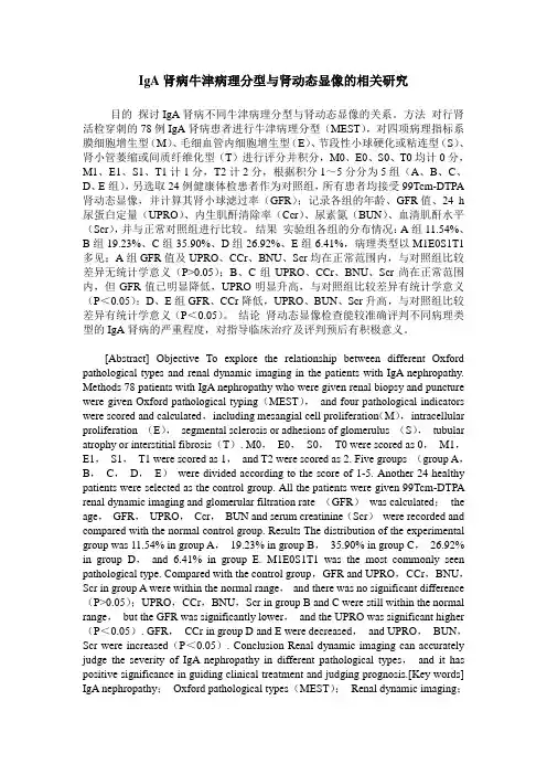 IgA肾病牛津病理分型与肾动态显像的相关研究