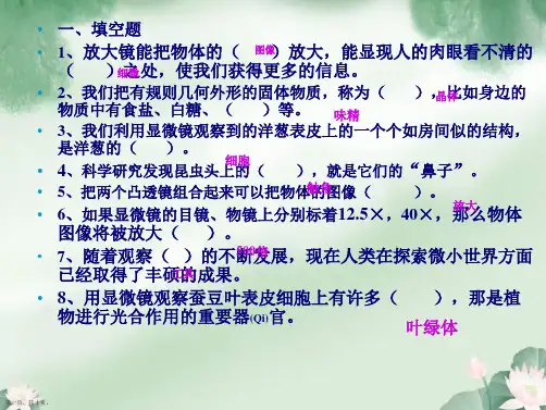 教科版科学六年级下册第一单元练习题+答案