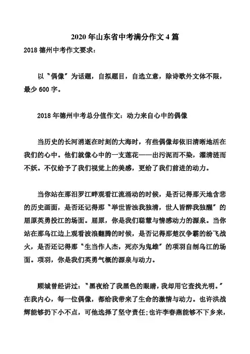 2020年山东省中考满分作文4篇