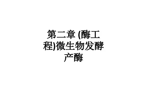第二章 (酶工程)微生物发酵产酶ppt课件