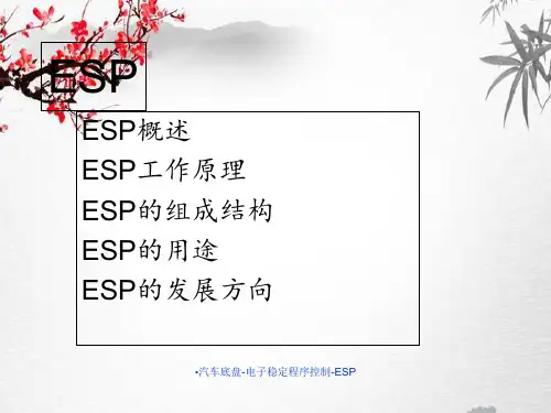 汽车底盘-电子稳定程序控制-ESP