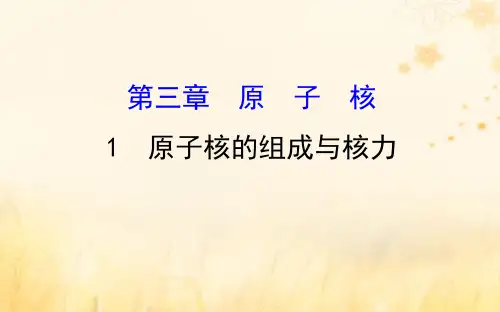 高中物理第三章原子核3
