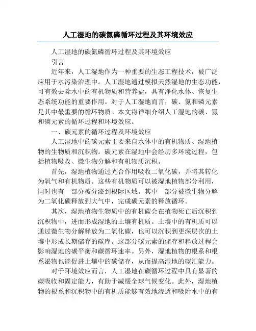 人工湿地的碳氮磷循环过程及其环境效应