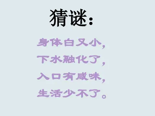 三年级上册科学课件-1.7 混合与分离-分离食盐与水｜教科版 (共9张PPT)