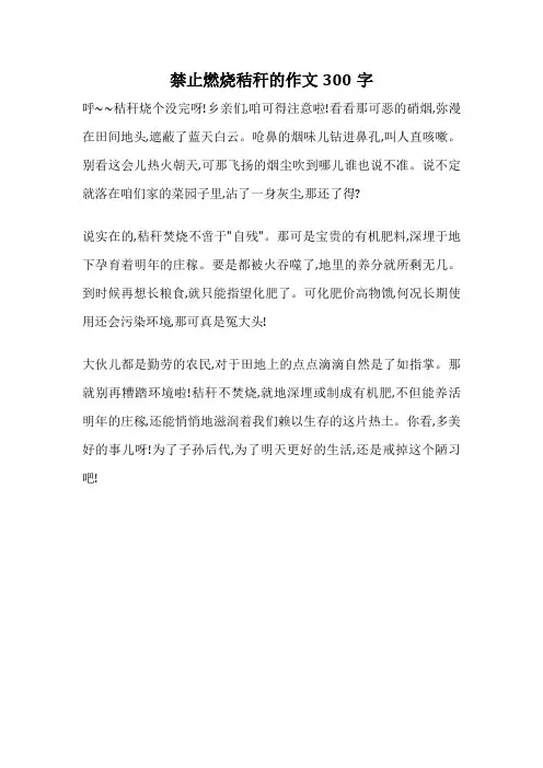 禁止燃烧秸秆的作文300字