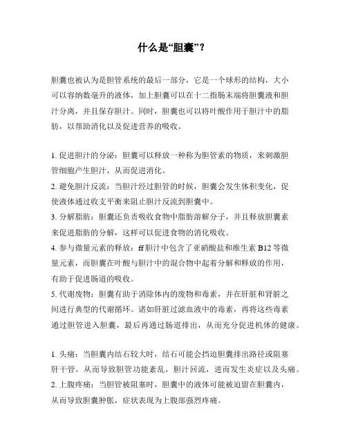 什么是“胆囊”？