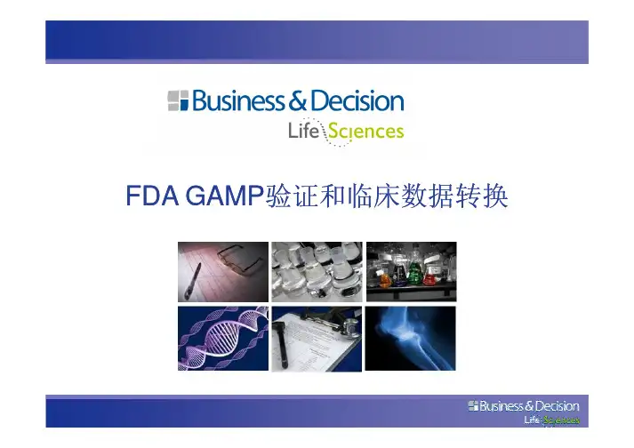 FDA GAMFDA GAMP验证和临床数据转换
