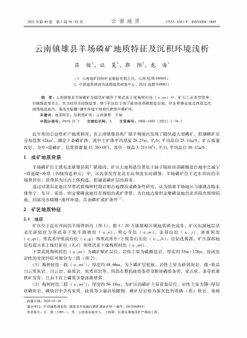 云南镇雄县羊场磷矿地质特征及沉积环境浅析